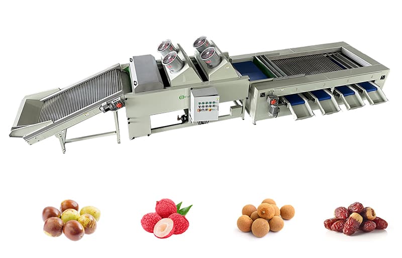 images/1689669456099date  grading line 11.jpg